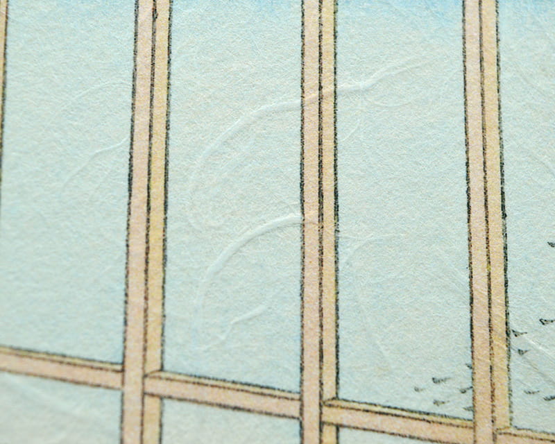 Premio Unryu, 165g (Washi med uklare kozofibre)  11