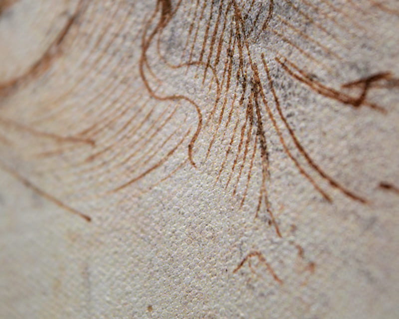 Lærred Raphael (mat) (Epson Premium Canvas Matte)  9