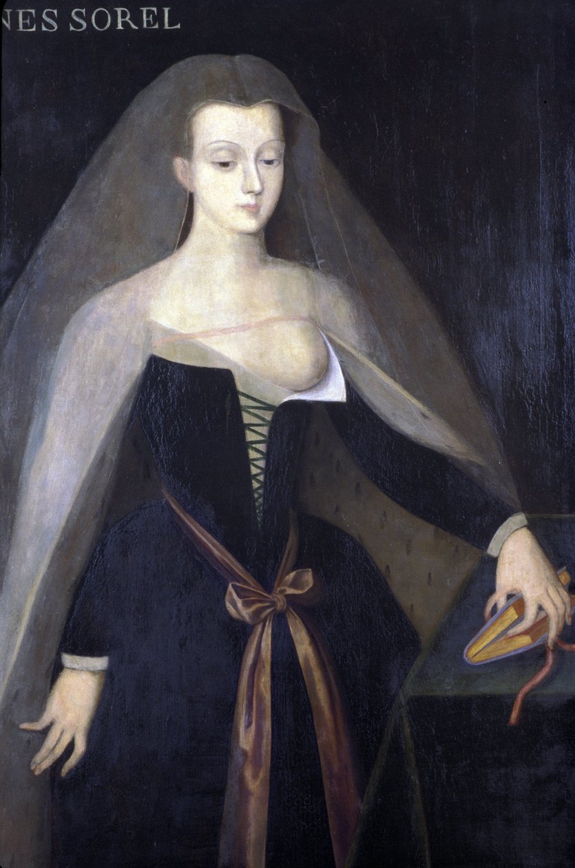 Indre & Loire N* 081 - Chateau de Loches - Portræt af Agnes Sorel - af Francois Clouet (1520-1572) af Unknown