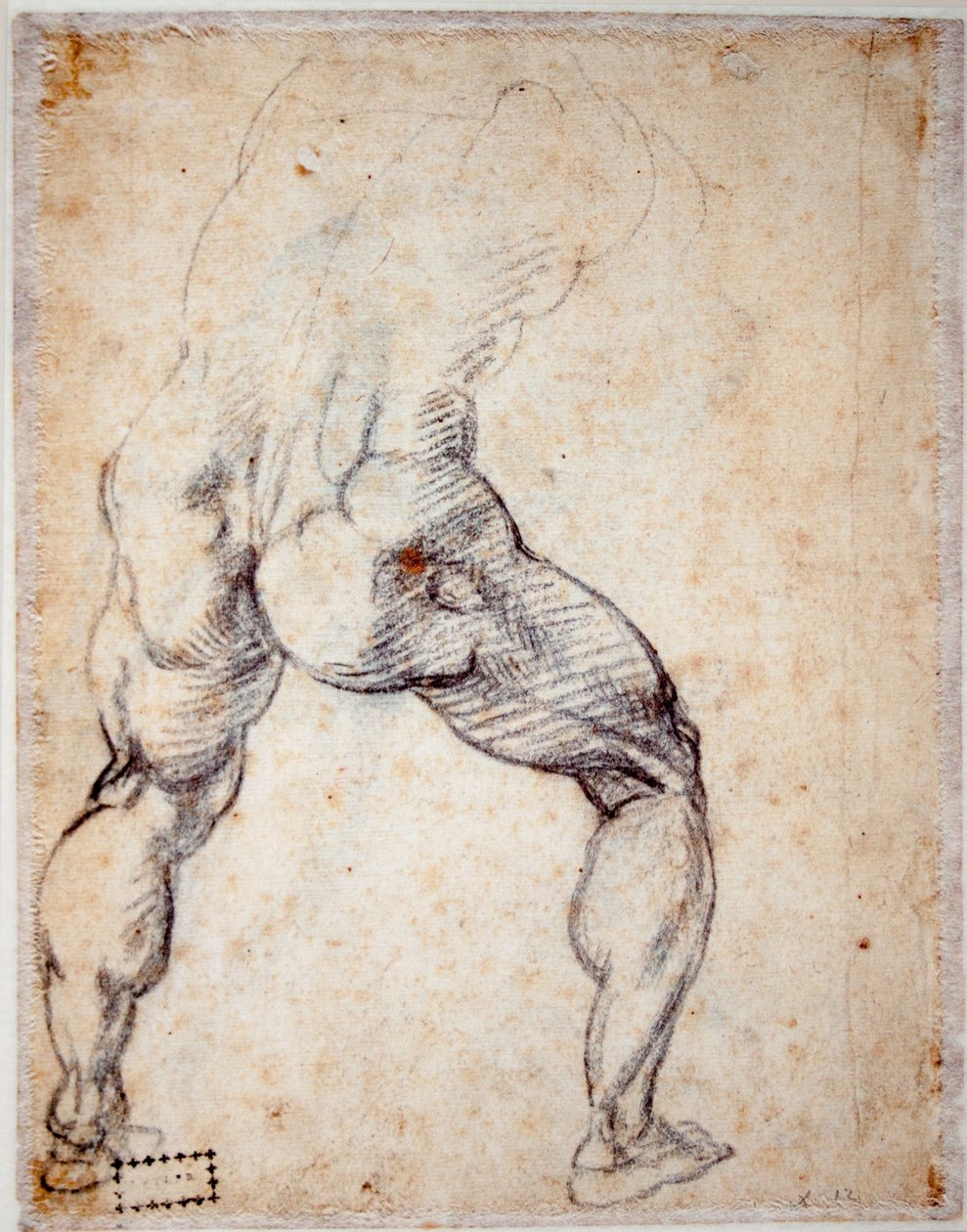 Mænd bagfra af Michelangelo Buonarroti