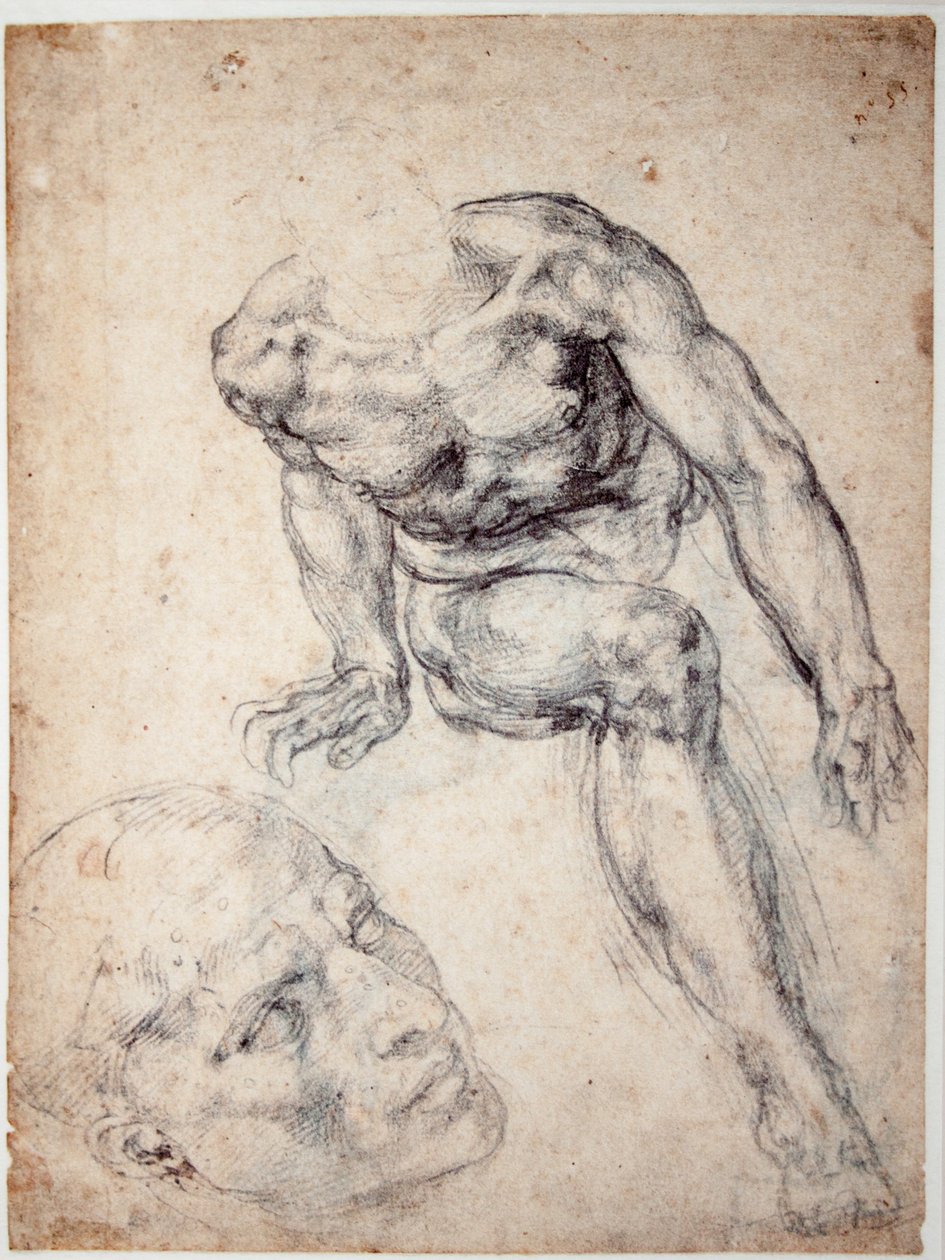 Studie af en mandlig nøgen, separat undersøgelse af hans hoved af Michelangelo Buonarroti