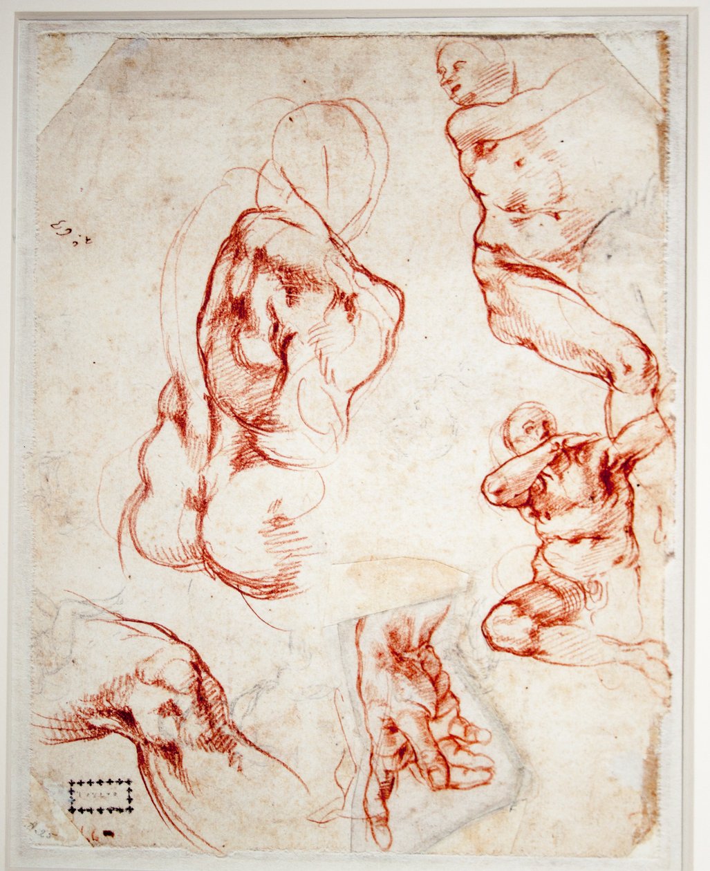 Undersøgelse for Guds hånd (skabelse af Adam) af Michelangelo Buonarroti