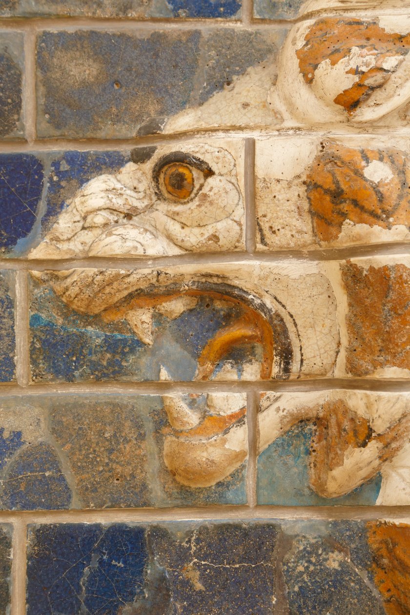Istanbul, Tyrkiet. Arkæologisk Museum. Glaseret murstensløve i relief fra processionsgaden, Babylon, dateret fra Nebuchadnezzar II-perioden omkring 604-562 f.Kr. af Unknown