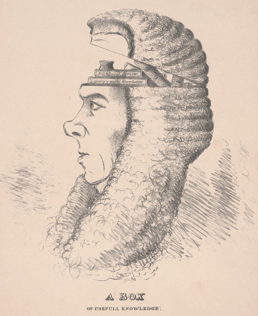 A Box of Useful Knowledge: Caricature of Brougham, 1832 af English School