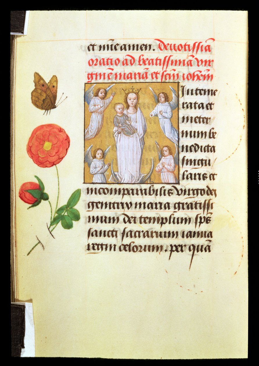 Stående jomfru og barn, tilbedt af engle, ca. 1515-20 (tempera og guldmaling på vellum) af Flemish School