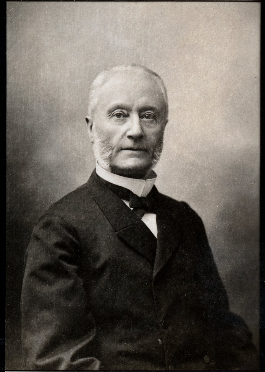 Portræt af Henri Barboux (1834-1910), fransk advokat og politiker. af French Photographer