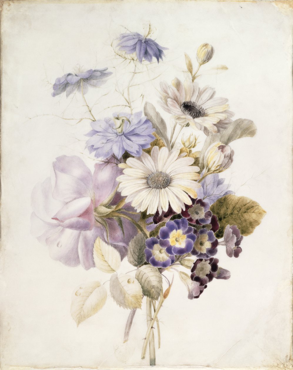Blomster med tusindfryd, 1840 (wc på papir) af French School