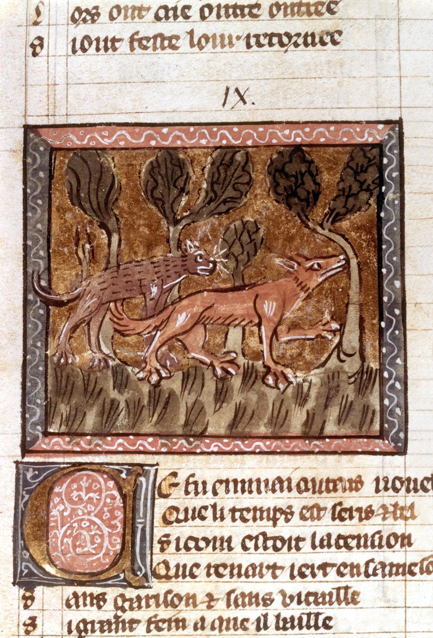 Ræven og ulven, belysning fra manuskriptet med titlen Roman de Renart (Rævens roman), ca. 1200-tallet af French School