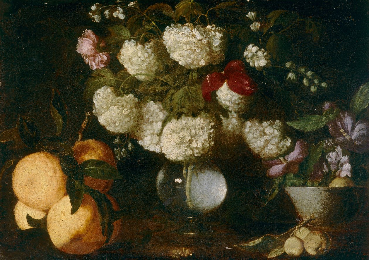 Snebolde, roser, hudfarver, frugt af Italian School