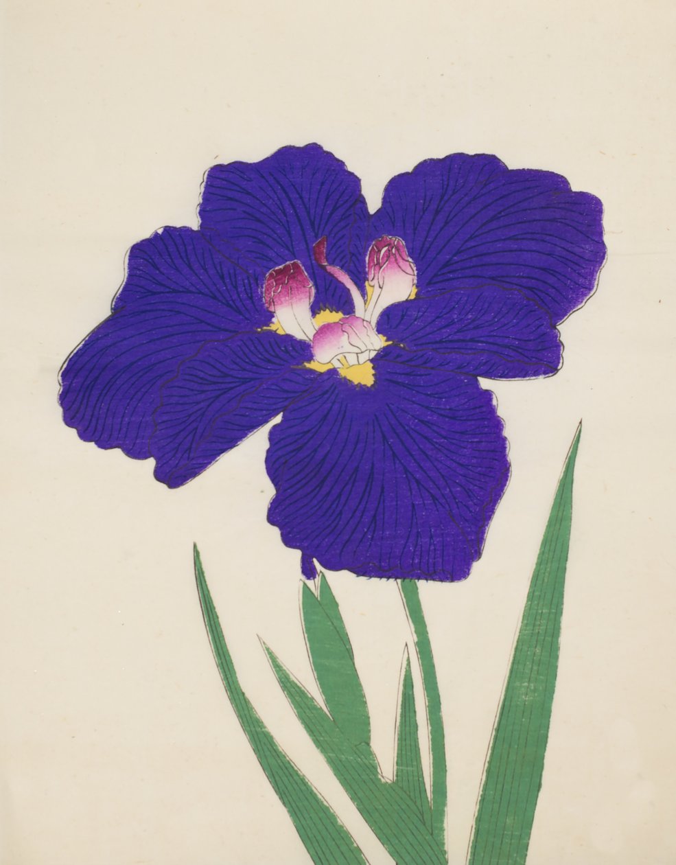 Shira-No-Tamoto, nr. 49, 1890 (træbloktryk i farver) af Japanese School