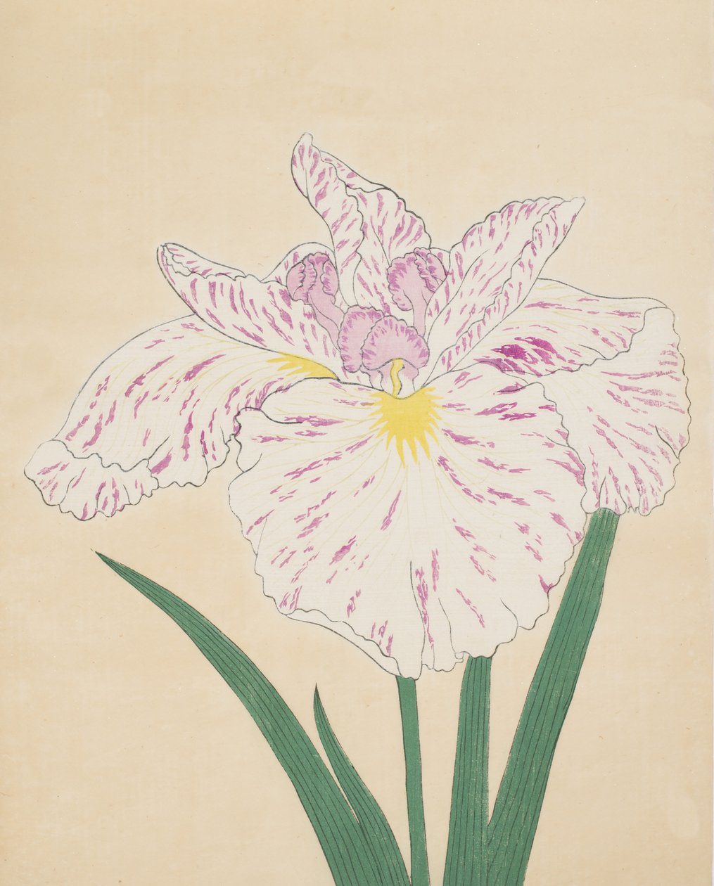 Ujino flod tåge. 55, 1890 (Dette er DBock p Hayashi t) af Japanese School