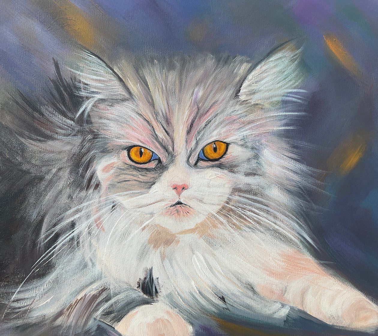 Maine-Coon kat af H.Opitz