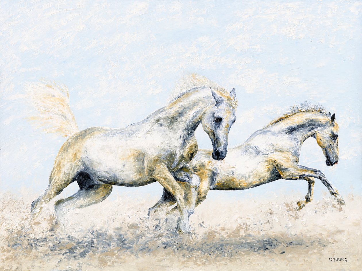 Arabiske riddere af Richard Young