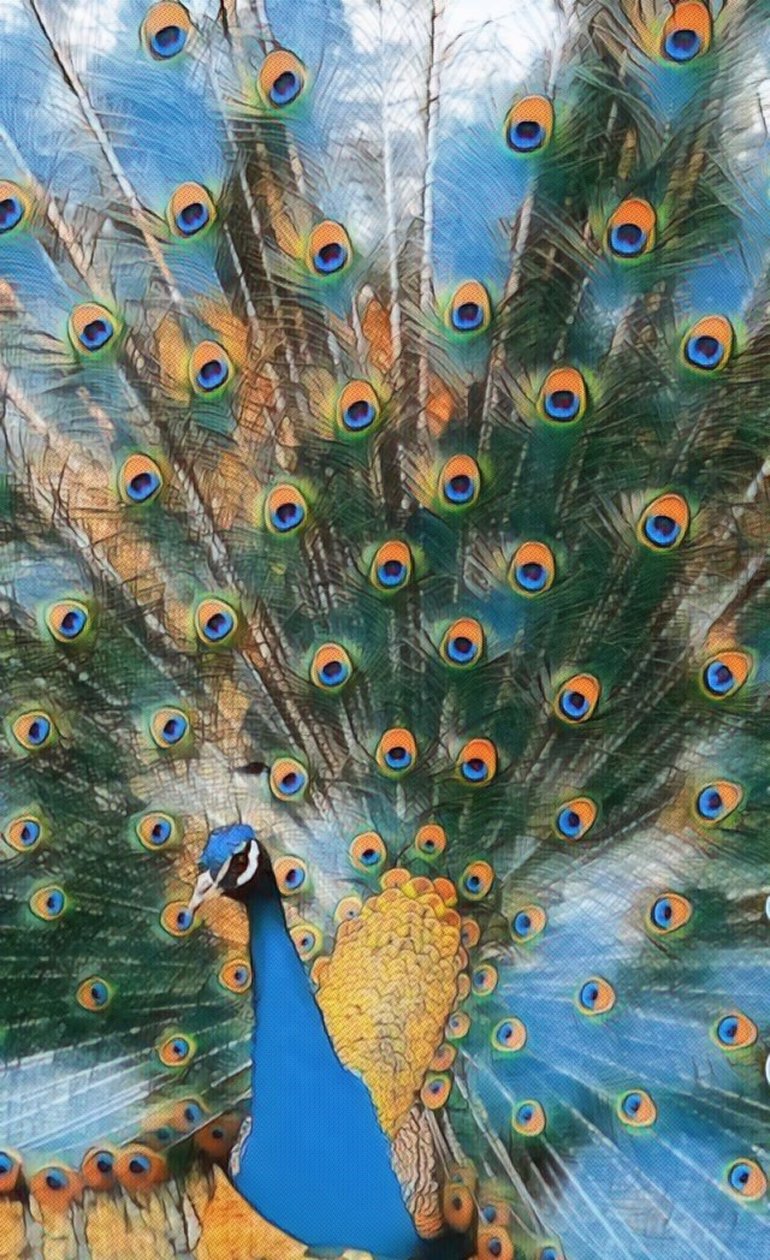 Pavo Real. af Margareta Uliarte