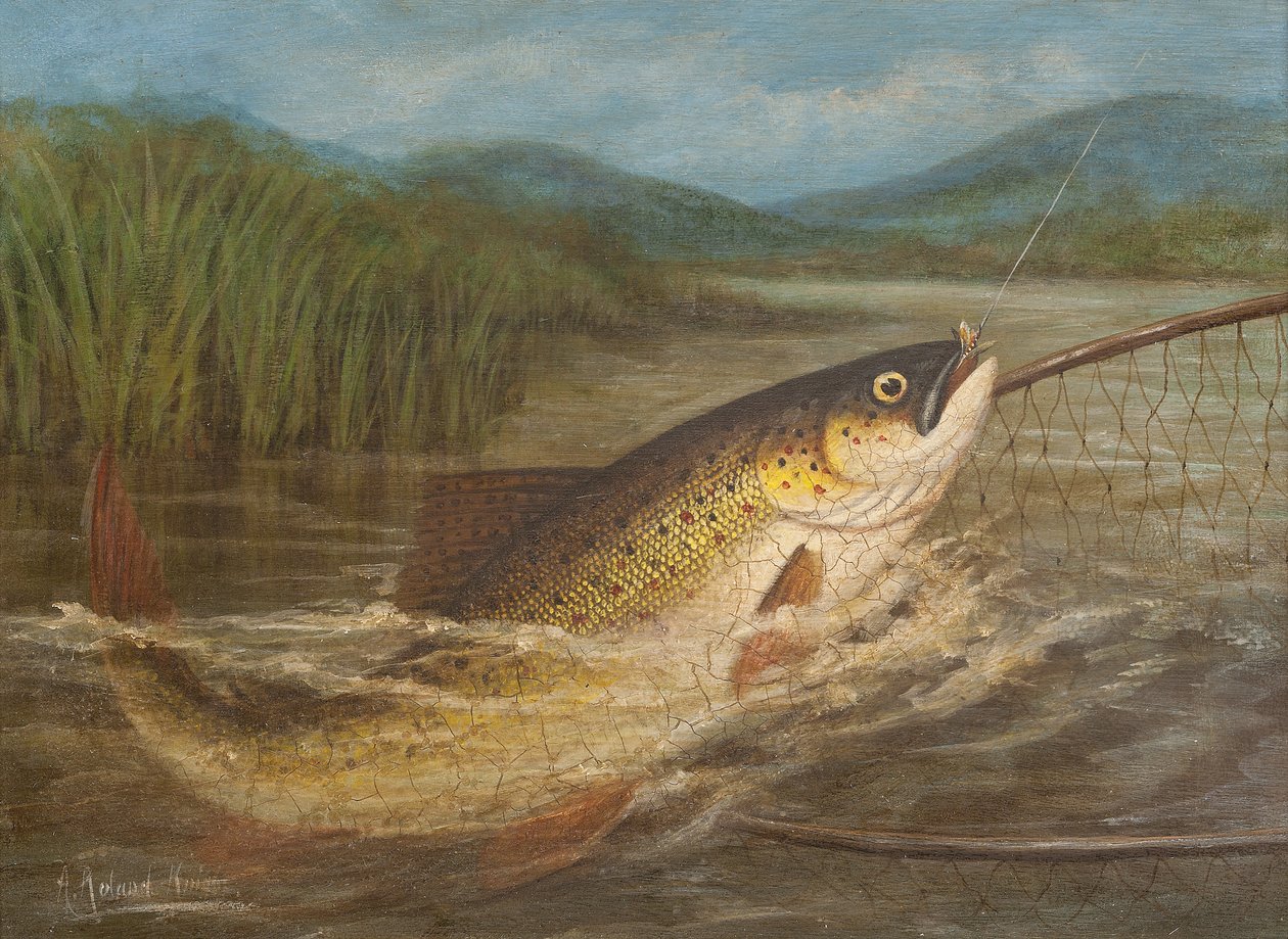 Fluefiskerens net af A. Roland Knight