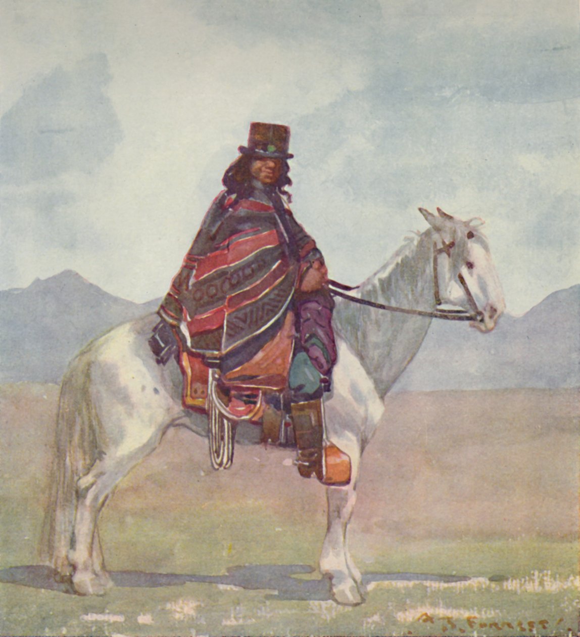 En araukansk indianer, 1916 af A. S. Forrest