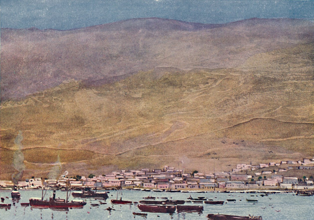 Arica, 1916 af A. S. Forrest