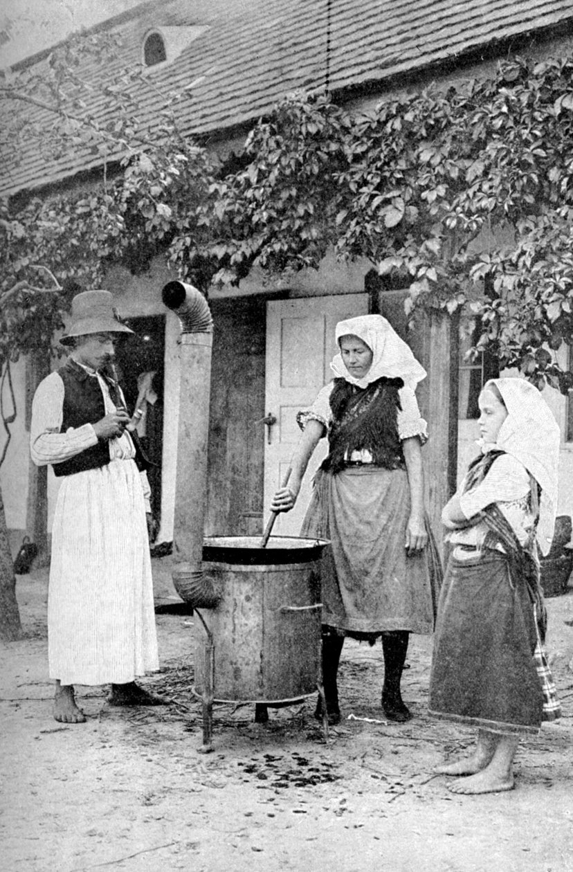 Fremstilling af gelé i Czinkota, Ungarn, 1922. af A. W. Cutler