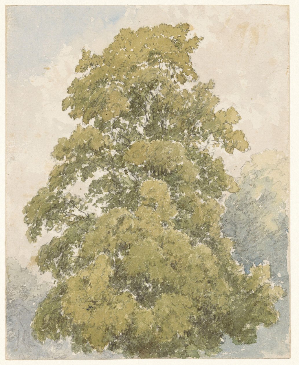 Studie af en elm af Aaron Edwin Penley