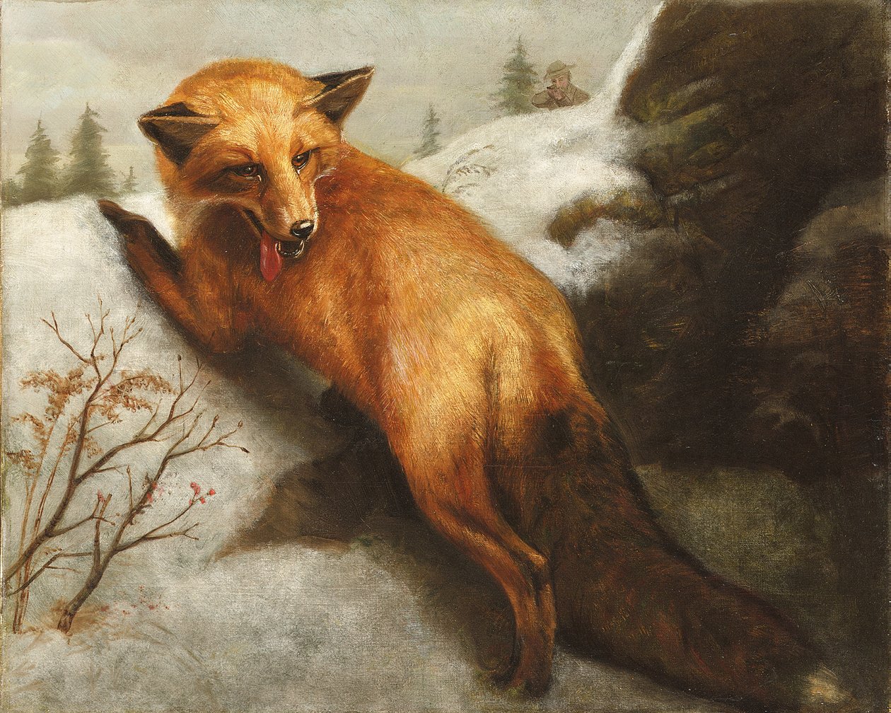 Den røde ræv, 1870 af Abbott Handerson Thayer