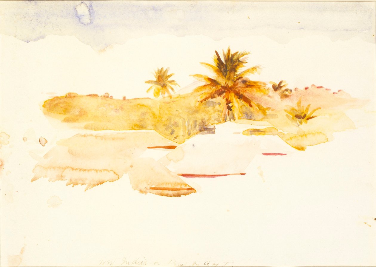 Vestindien af Abbott Handerson Thayer