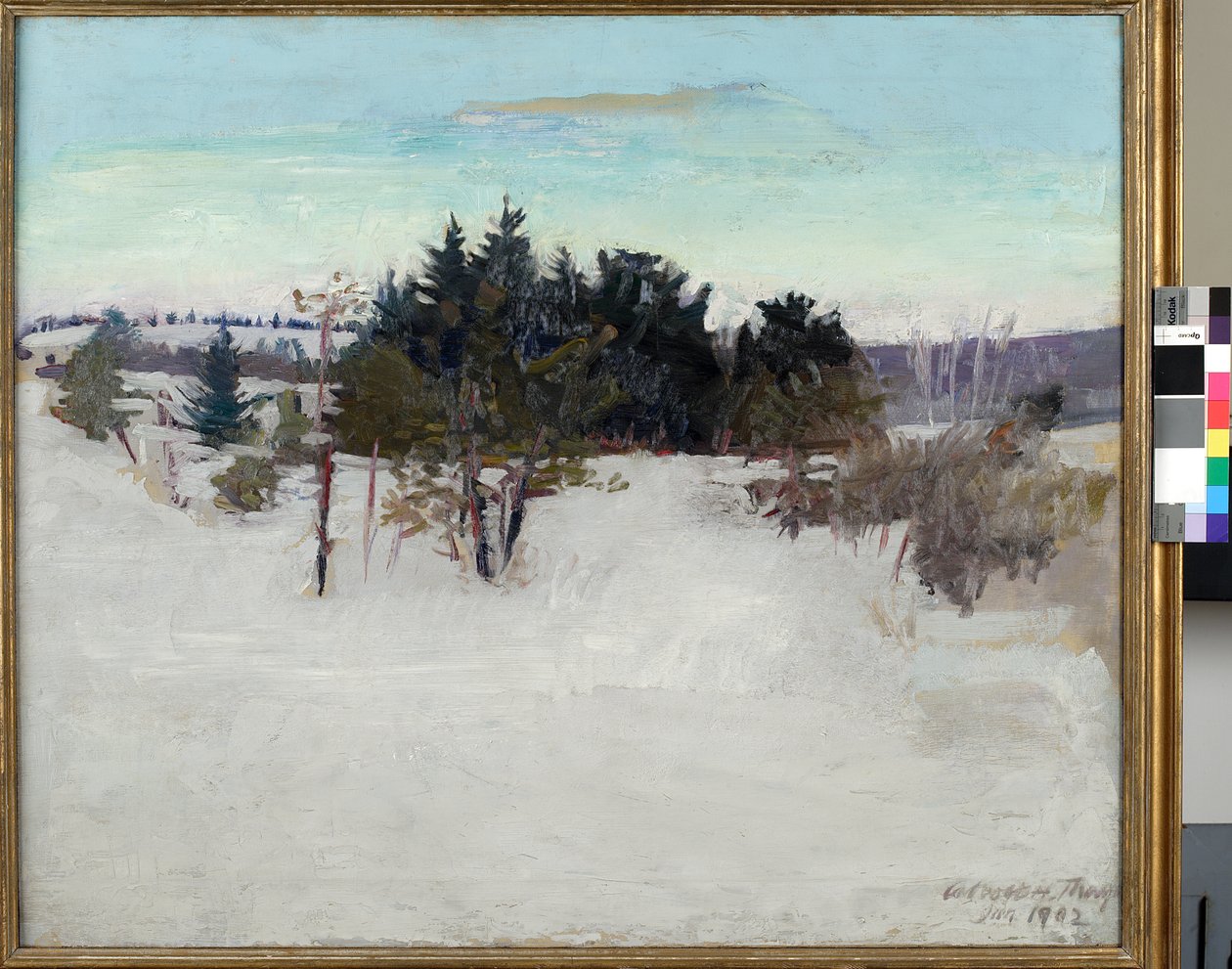 Vinterlandskab, 1902 af Abbott Handerson Thayer