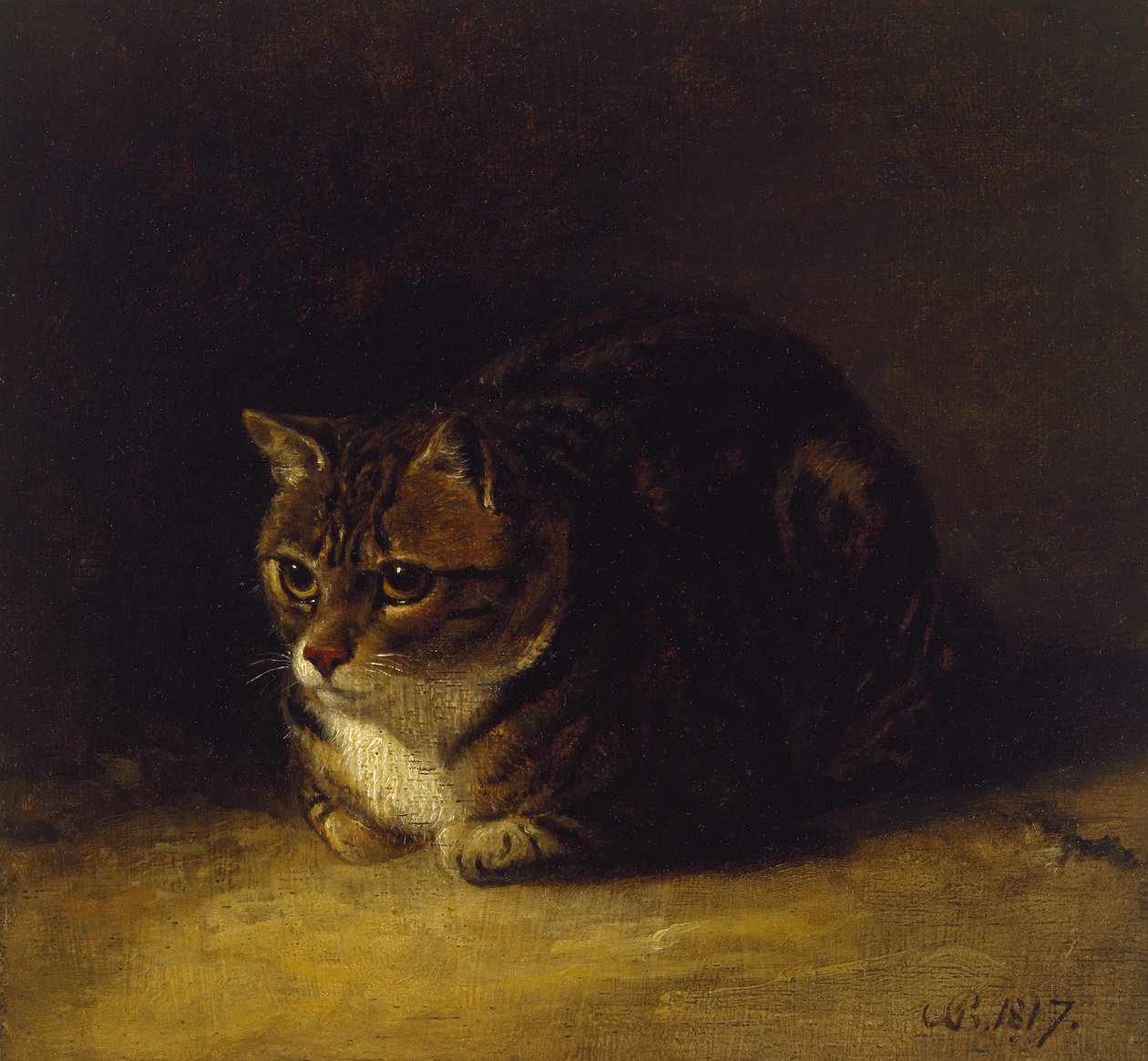 Studie af en kat, 1817 (olie på panel, monteret som tegning) af Abraham Cooper