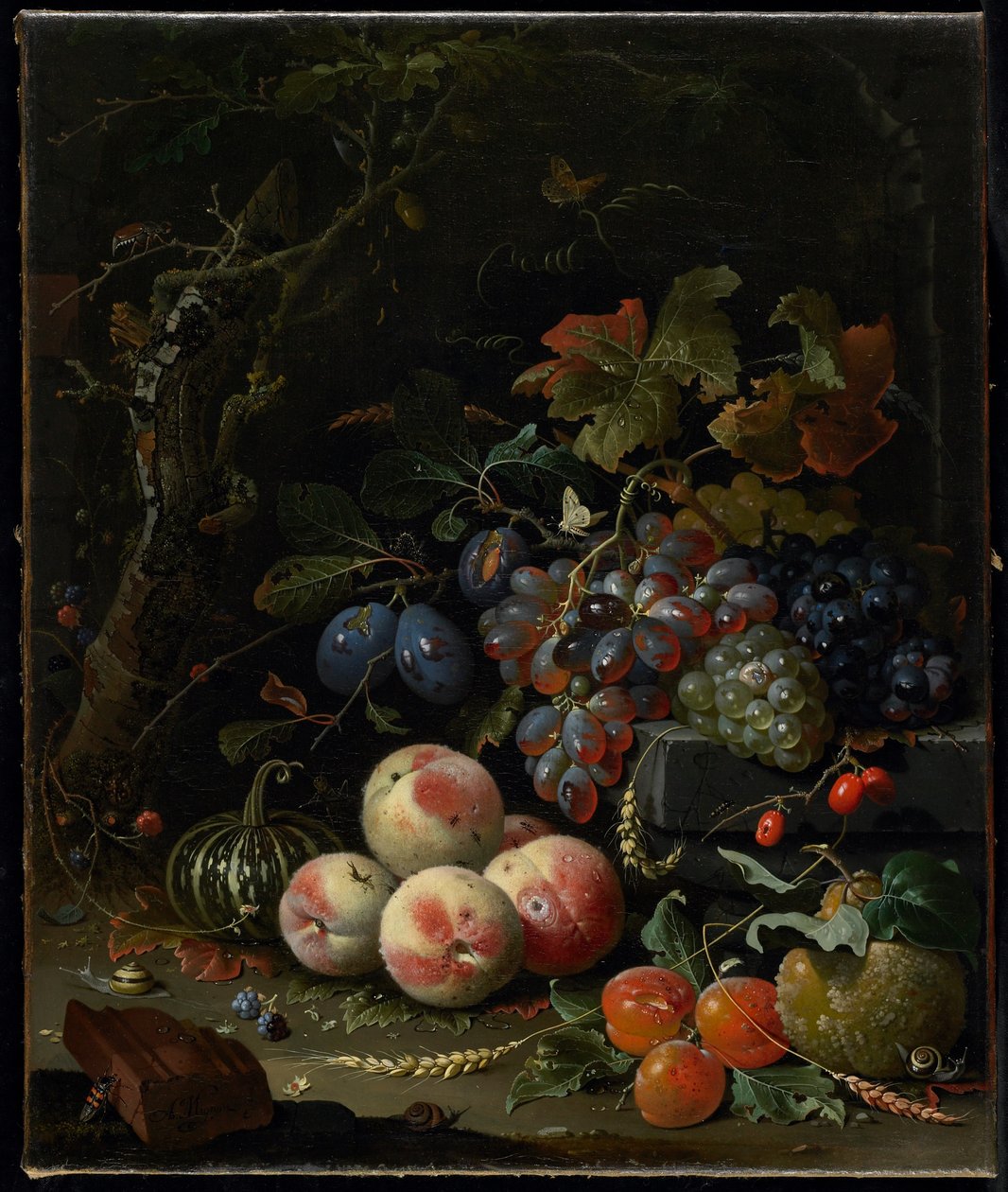 Stilleben med frugt, løv og insekter, ca. 1669 af Abraham Mignon