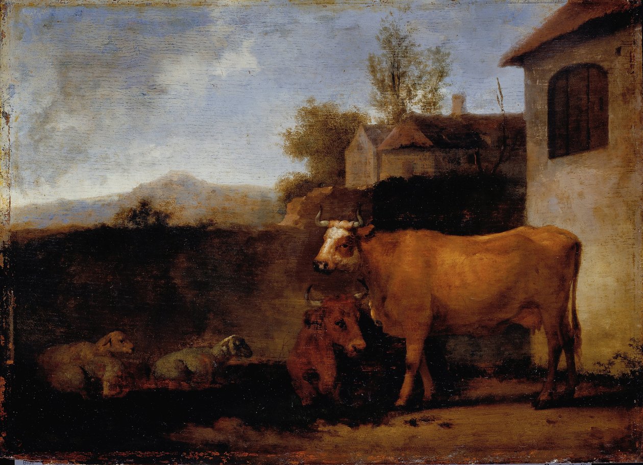 Køer og får af Abraham van Calraet
