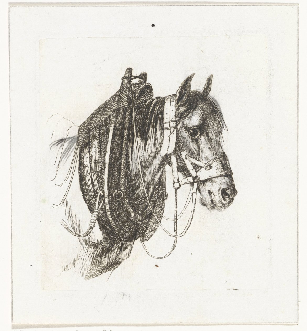 Hestehoved med trens, sele og sadel af Abraham Hendrik Winter