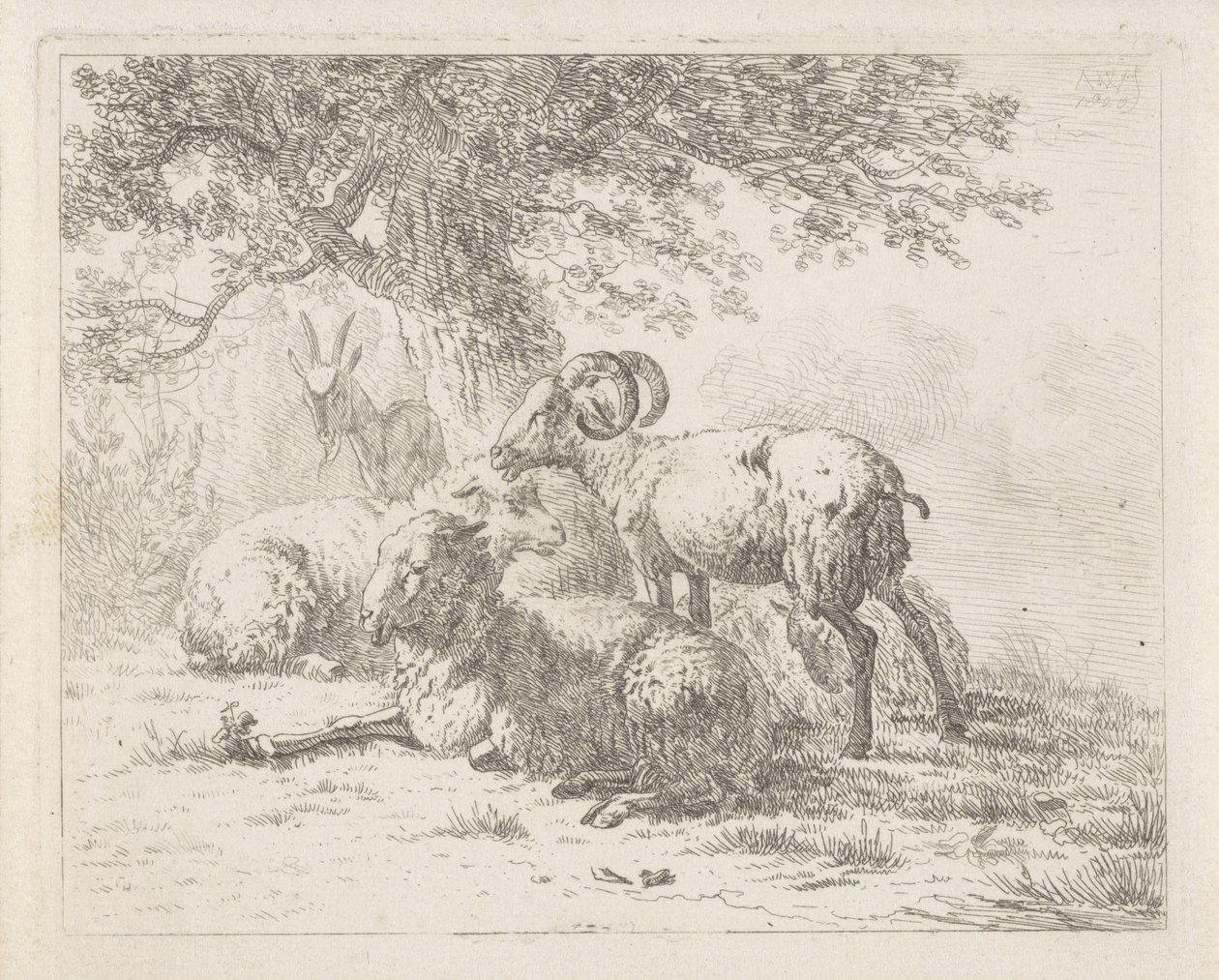 Får og en ged af Abraham Hendrik Winter