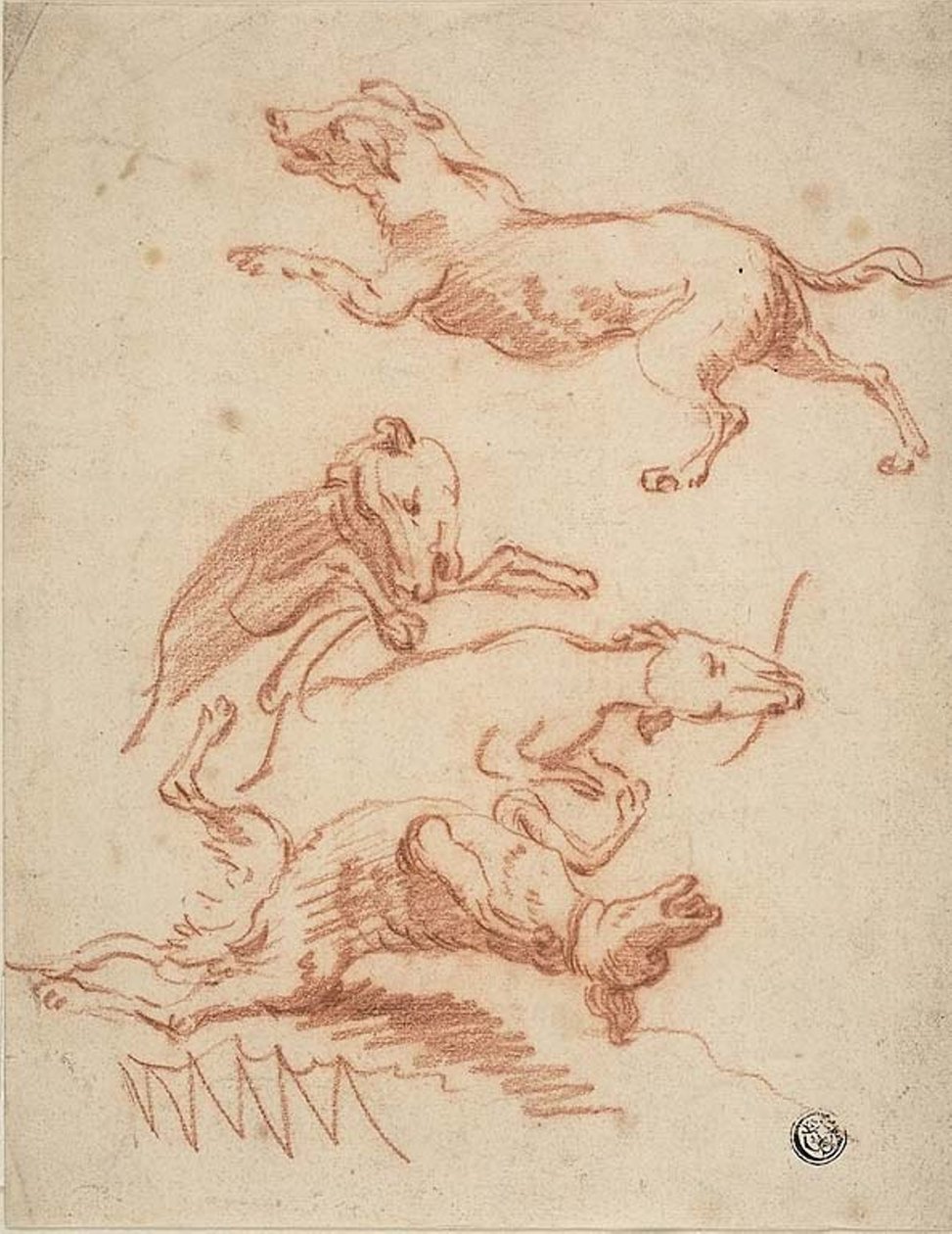 Skitser af tumlende hunde af Abraham Hondius