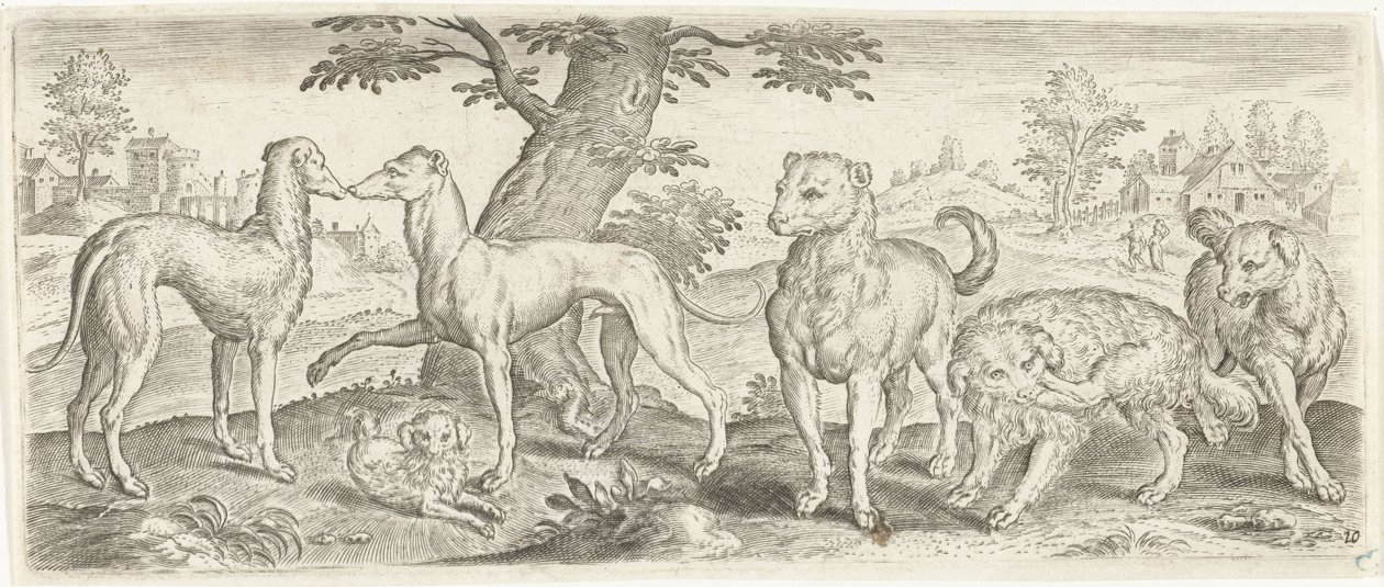 hunde Dyr (serietitel) af Abraham de Bruyn (possibly)