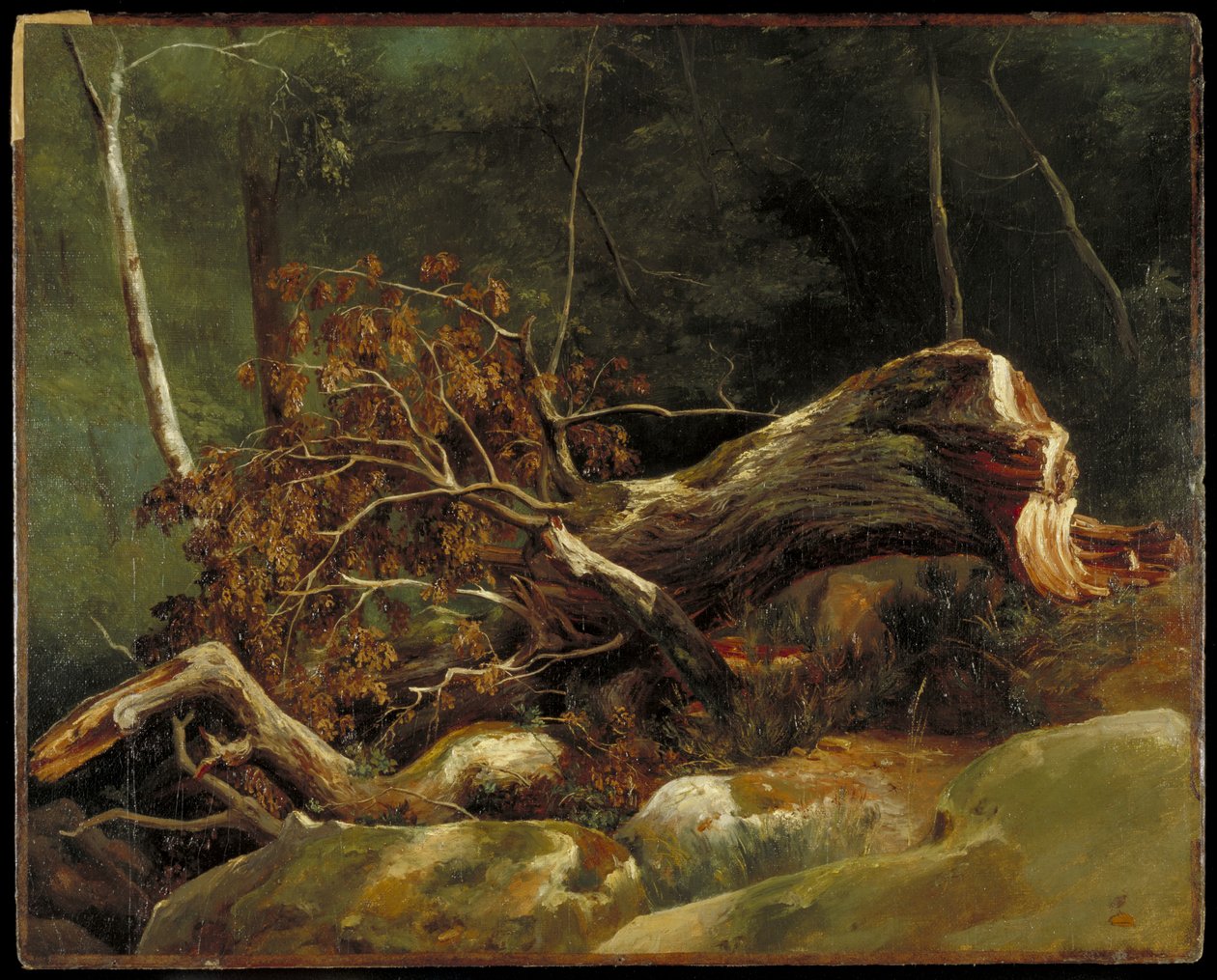 The Fallen Branch, Fontainebleau, ca. 1816 (olie på lærred på kort) af Achille Etna Michallon