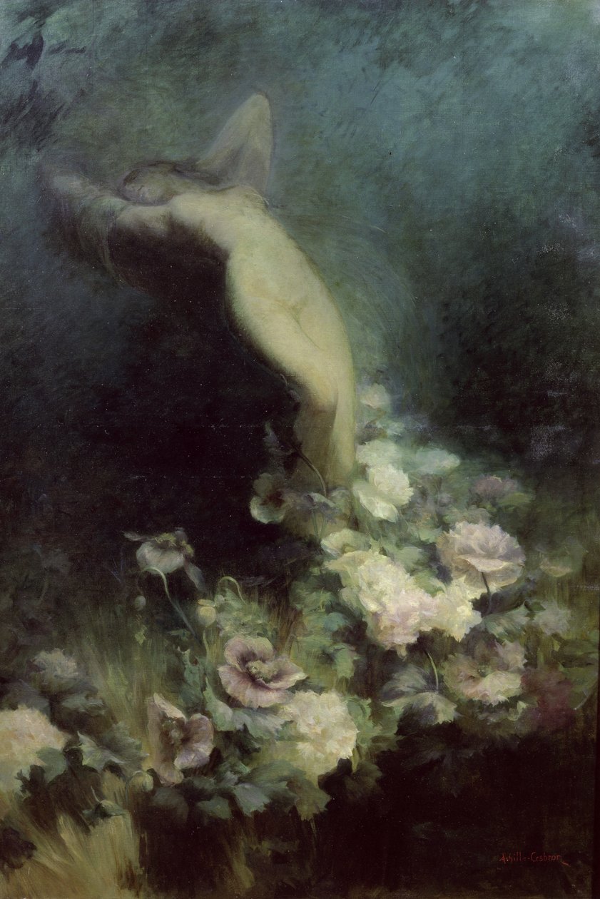 Søvnens blomster af Achille Theodore Cesbron