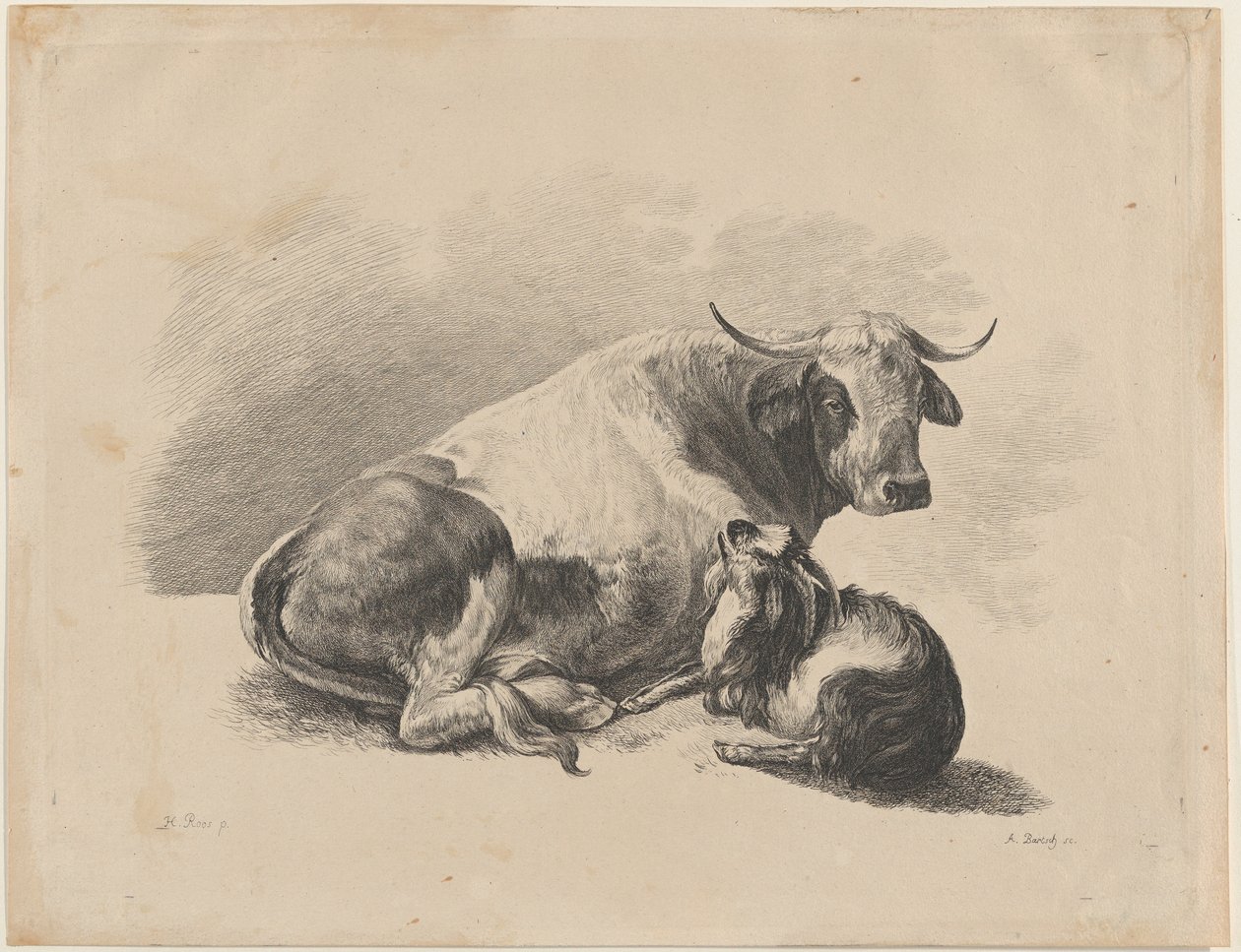 Ko og ged liggende, 1800-01. af Adam von Bartsch
