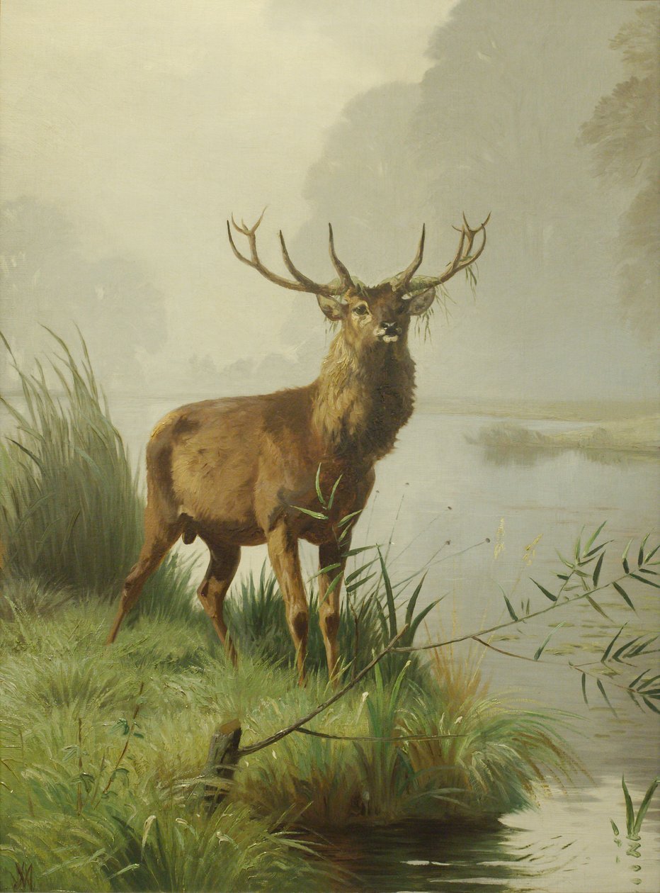 rød Hjort af Adolf Mackeprang