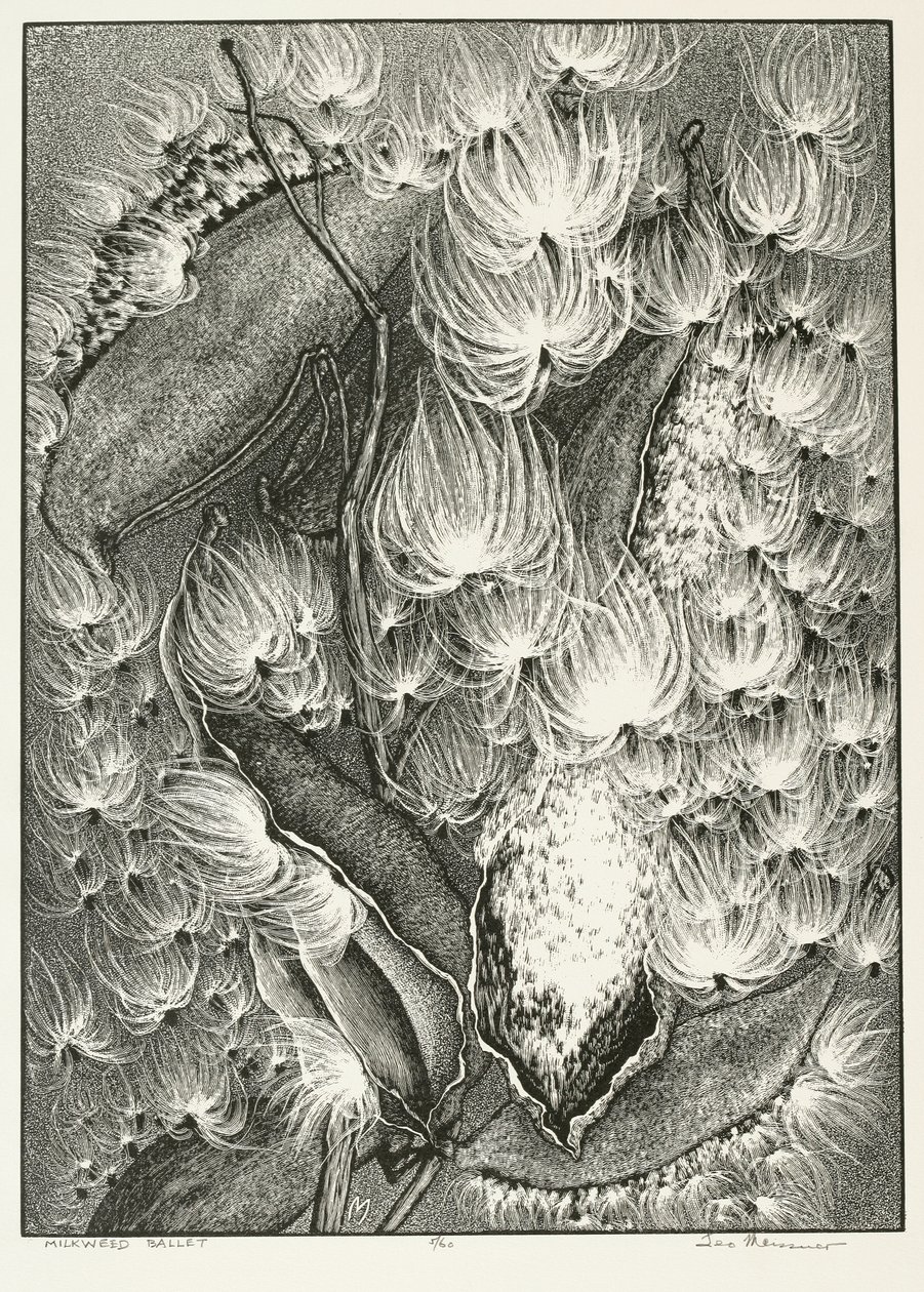 Milkweed Ballet af Adolf Ernst Meissner