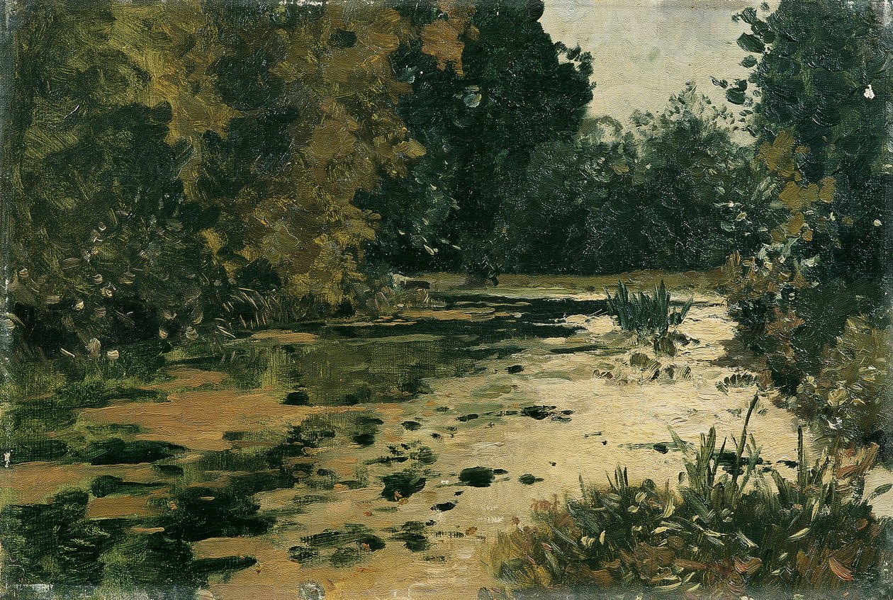 Waldtümpel af Adolf Gustav Ditscheiner