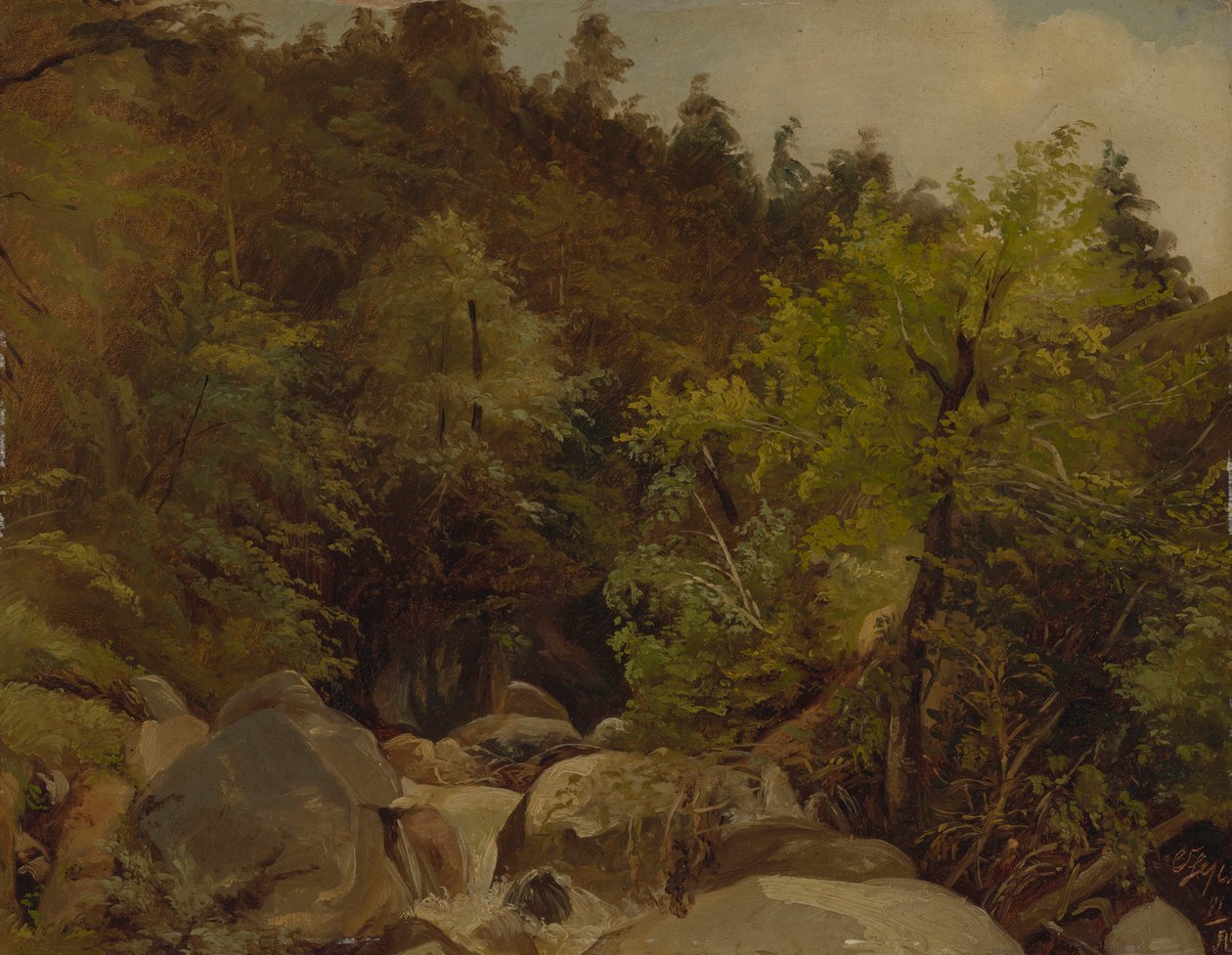Vandfald nær Ohlstadt af Adolf Heinrich Lier