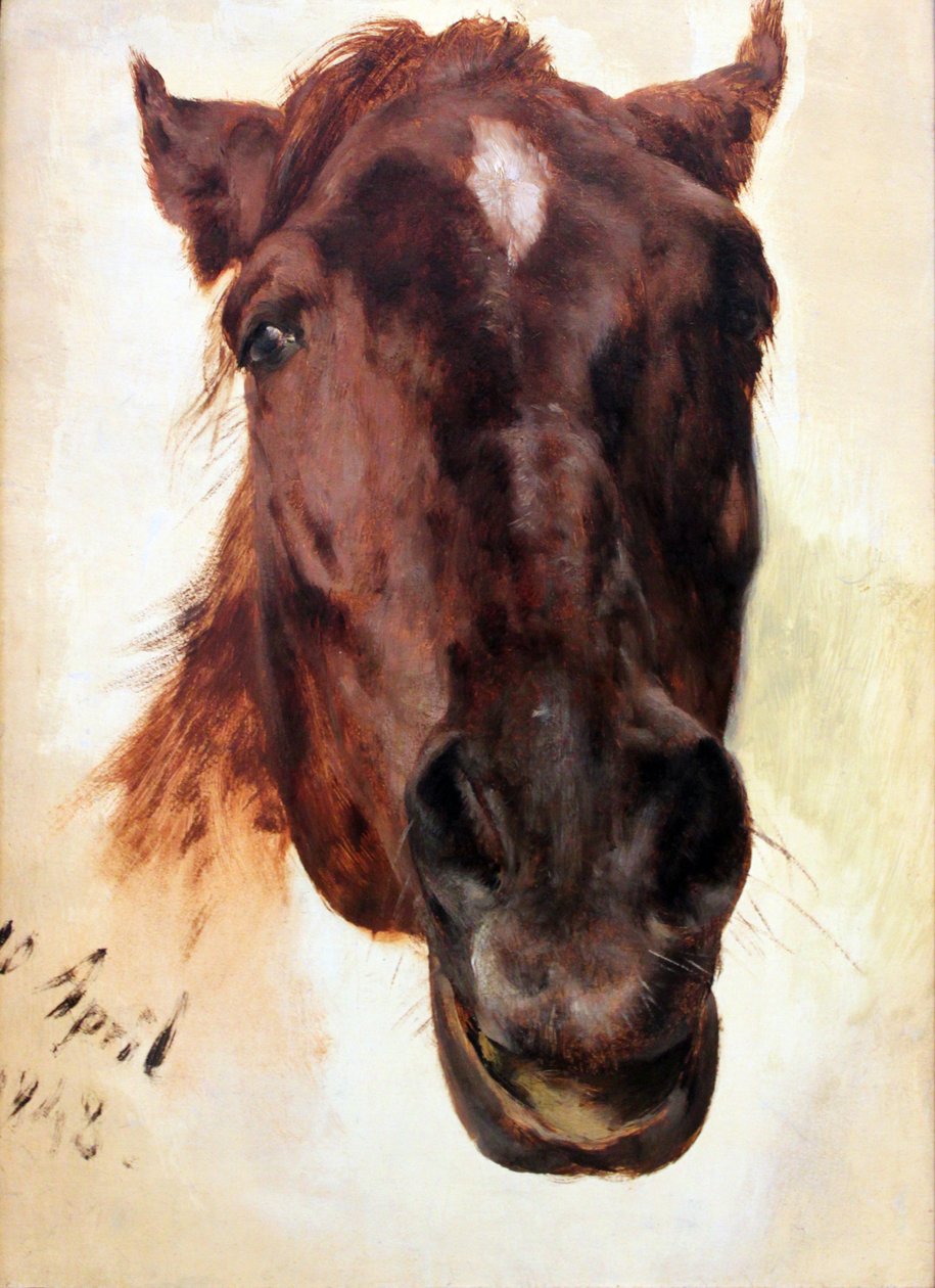 Hestestudie af Adolph Menzel