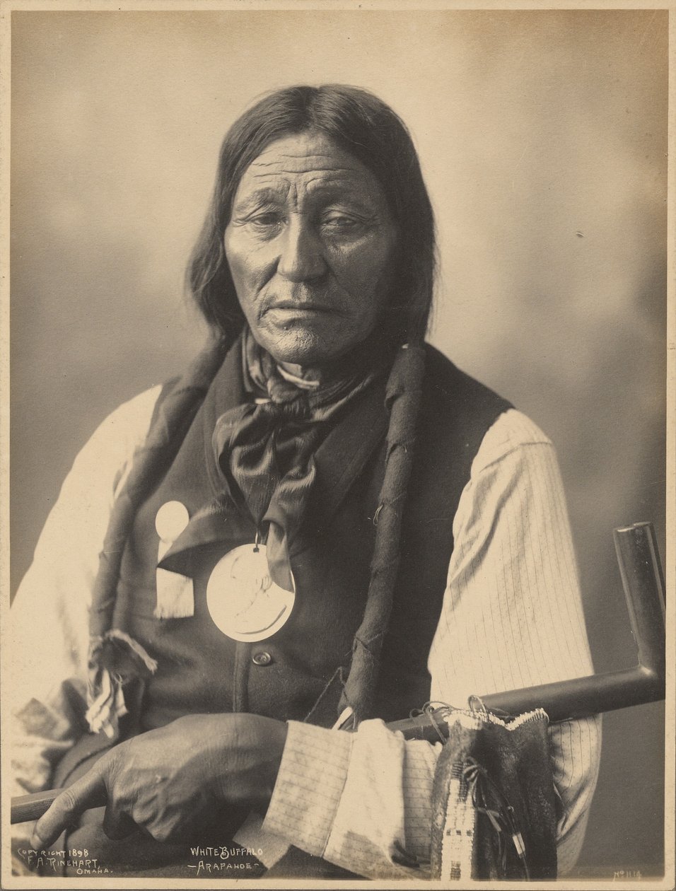 [Hvid bøffel fra arapaho-folket] af Adolph F. Muhr