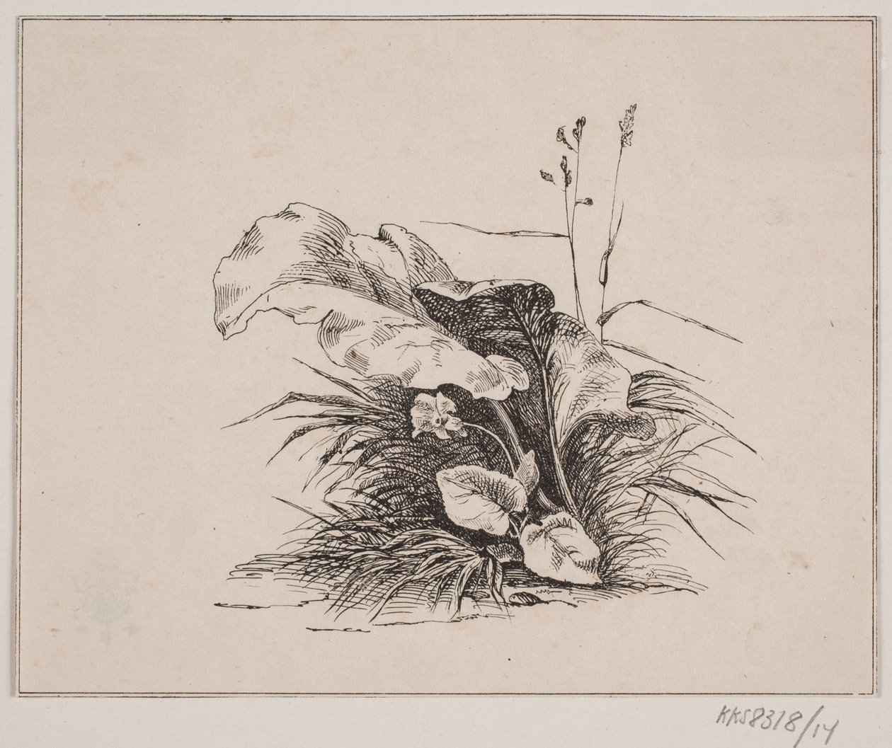 Violinen af Johan Adolph Kittendorff