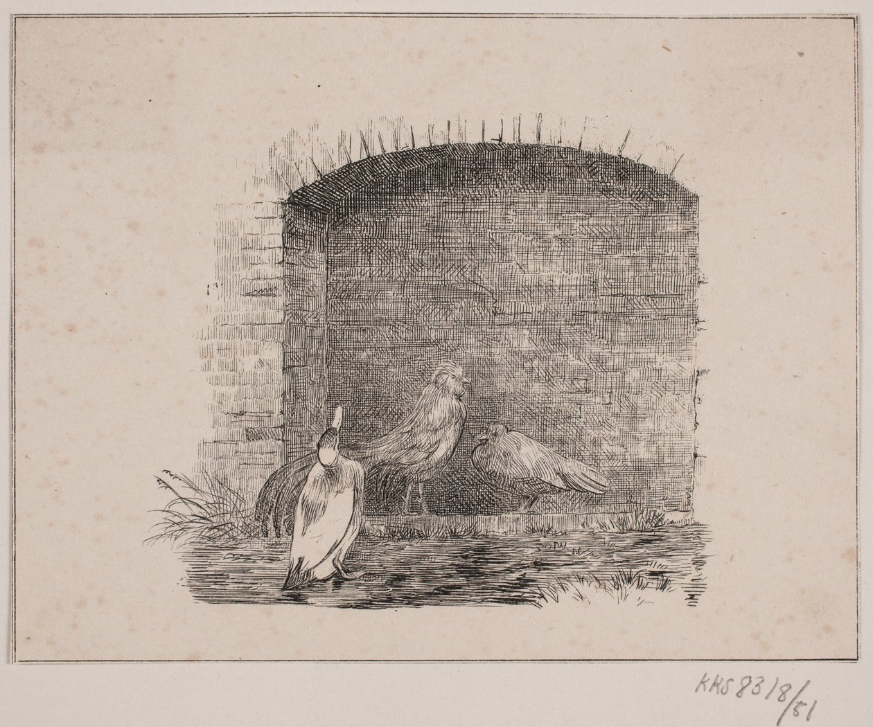 Hønsene og ænderne af Johan Adolph Kittendorff