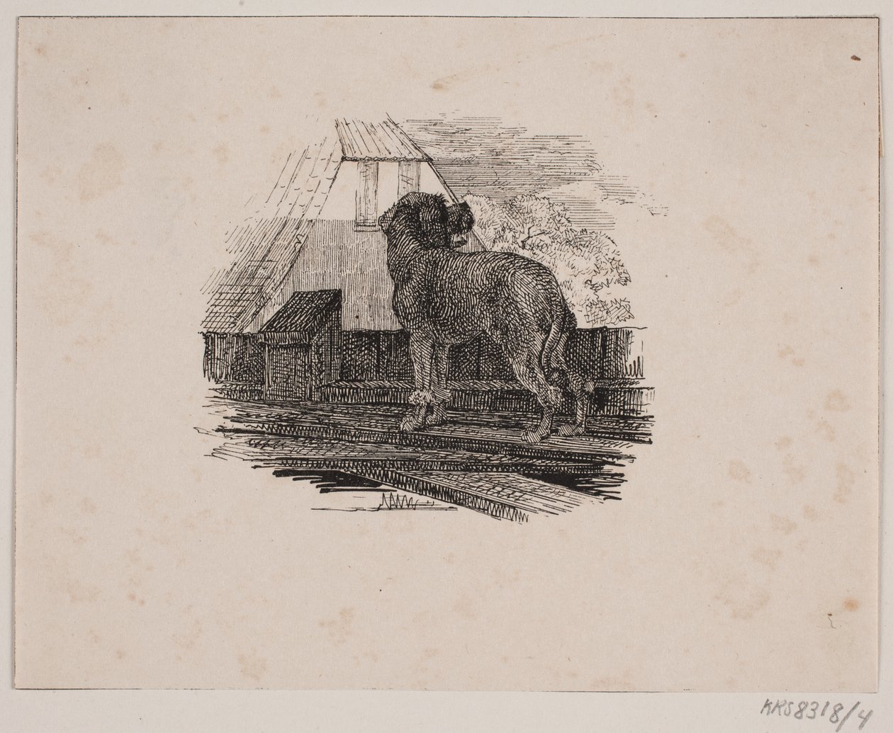 Puddelhunden af Johan Adolph Kittendorff