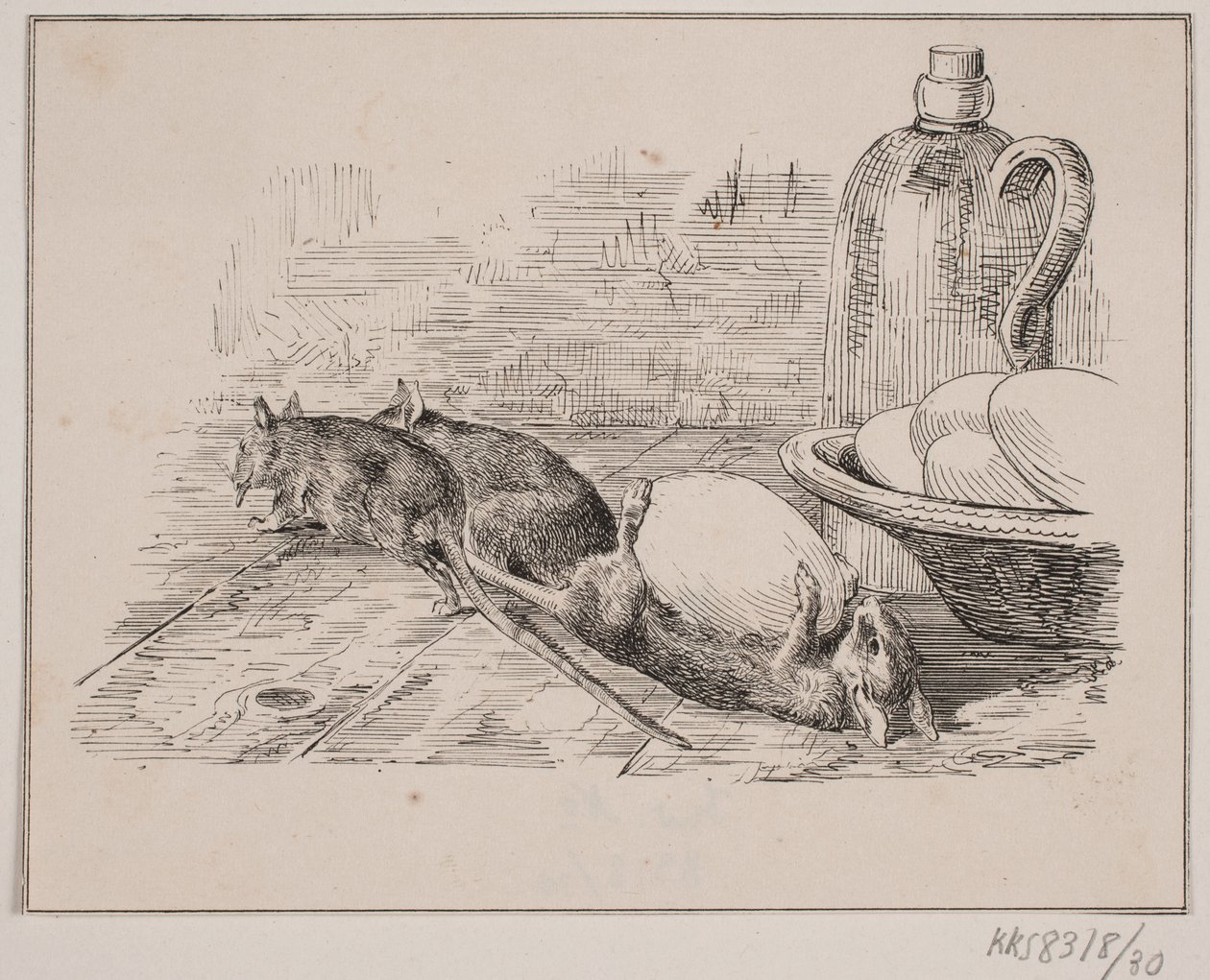 Rotterne af Johan Adolph Kittendorff