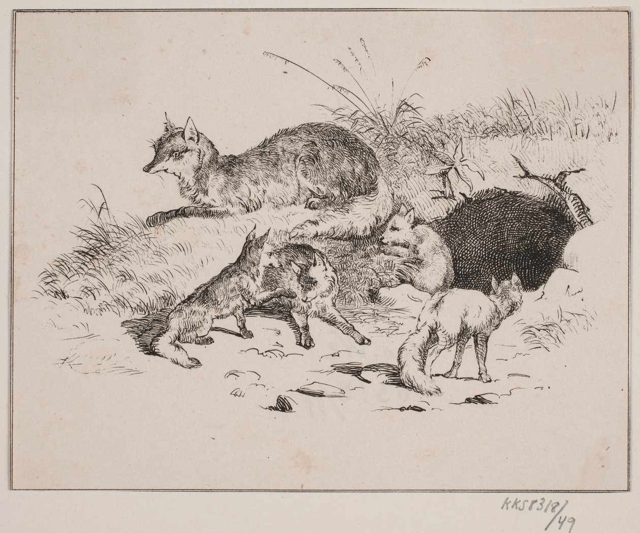 Ræven af Johan Adolph Kittendorff