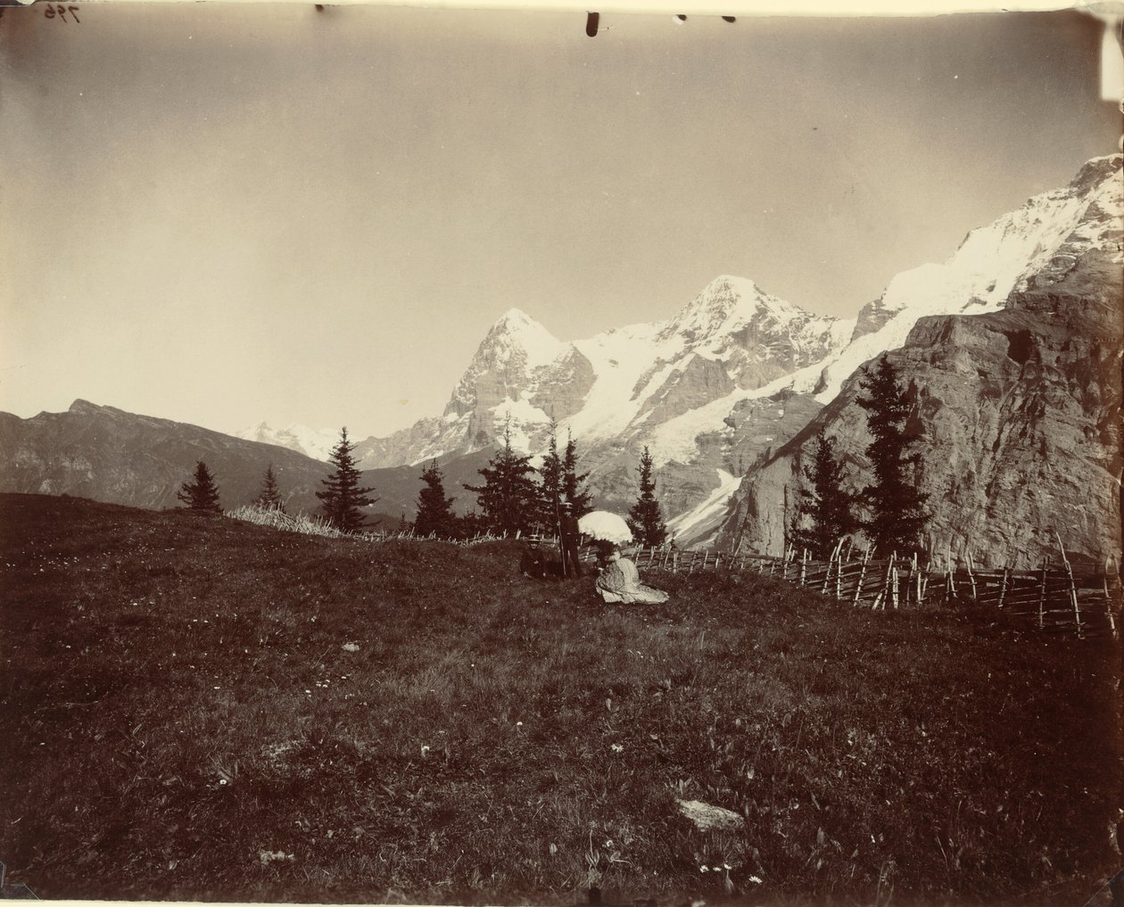 Landskab, Schweiz af Adolphe Braun