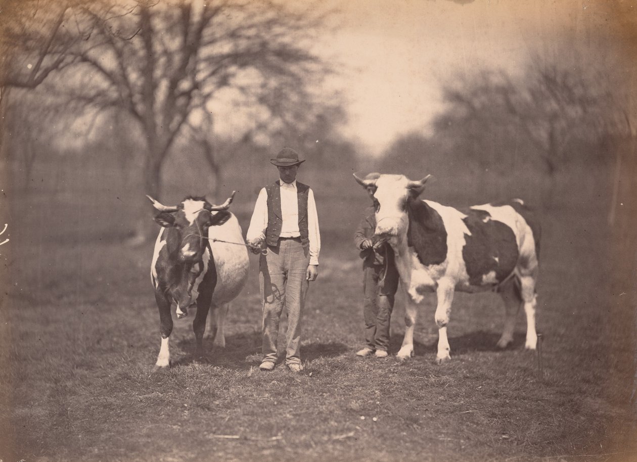 Landskab, ca. 1864 (foto) af Adolphe Braun