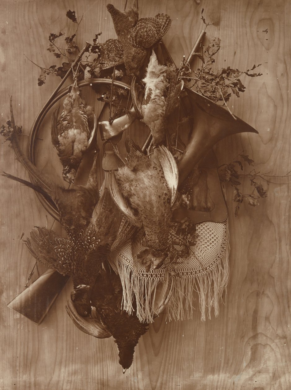 Fasan og Ryper, ca. 1865. af Adolphe Braun